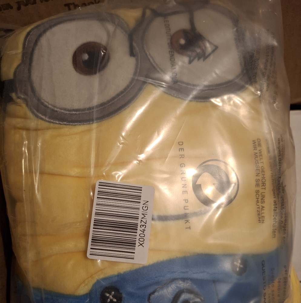 Minion Character
